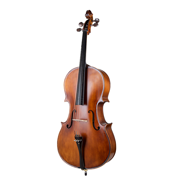 VANETTA WN-22 4/4 Masif Ağaç Abanoz Aksam Mat Cilalı Çello